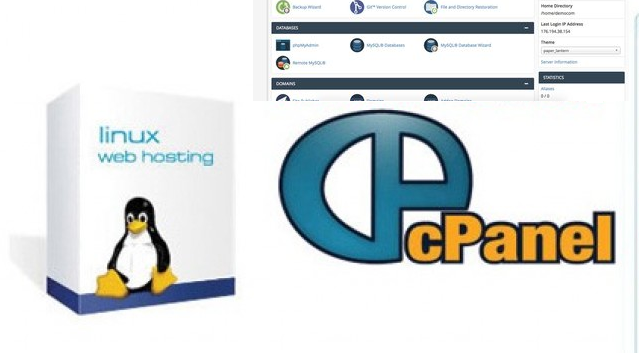 Adult Cpanel Hosting